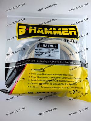 ভালো দাম ফ্রুকাওয়া হাইড্রোলিক ব্রেকার সিল কিট FXJ 275 902407-920050 920060 920070 920080 920090 অনলাইন