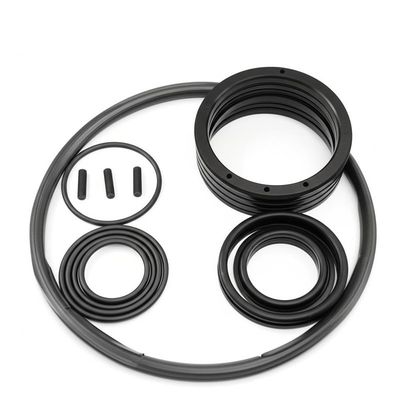 ভালো দাম Customized Black Excavator Cylinder Seal Kit for Your Business Needs অনলাইন